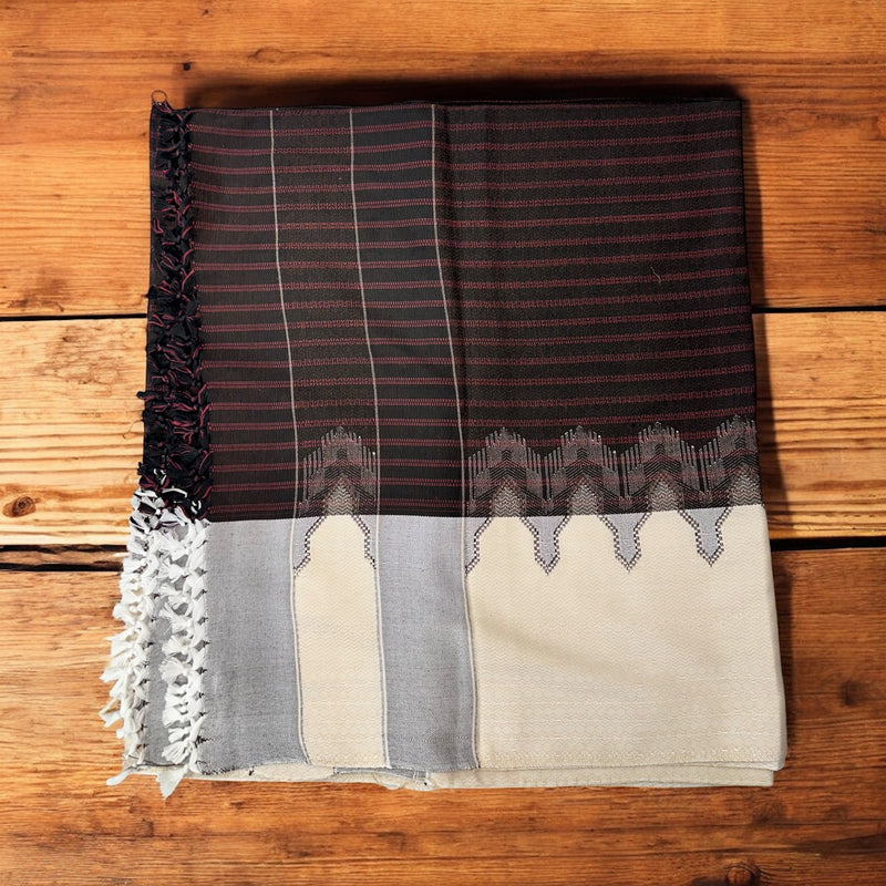 معوز بيضاني Vip