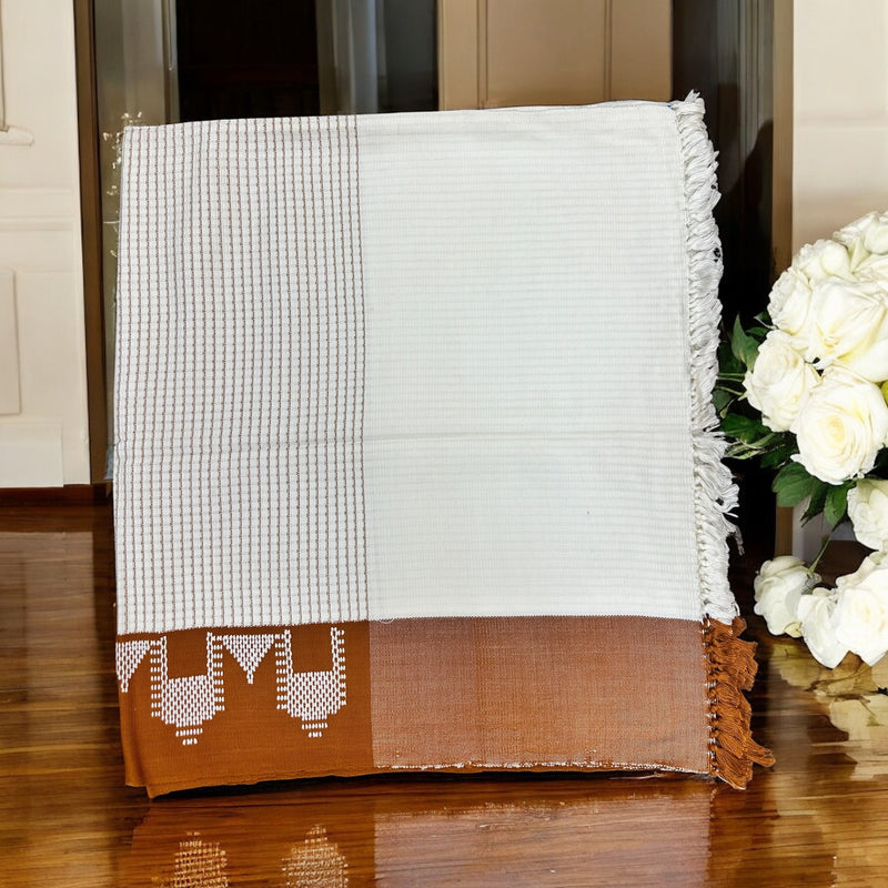 معوز بيضاني ممتاز