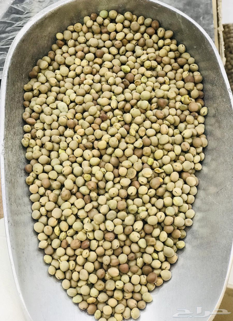 عتر يمني بلدي غير محمص (اخضر)