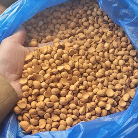 لوز بلدي (جبري) خولاني درجة أولى Top Quality Organic Yemeni Almonds (1 lb)