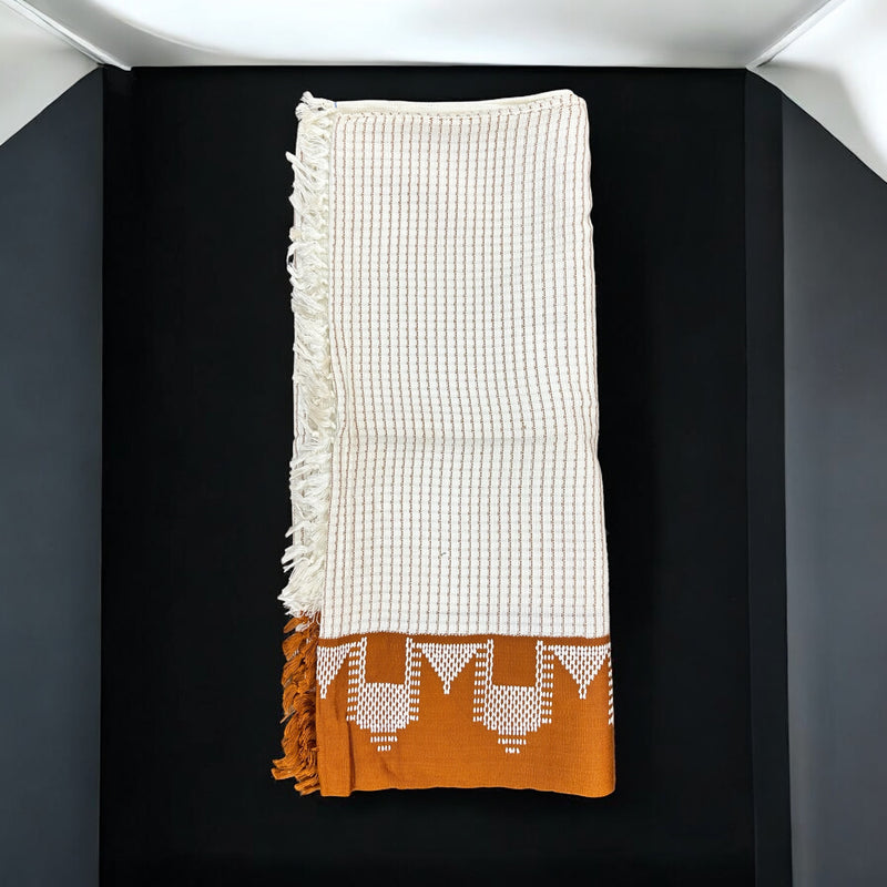 معوز بيضاني ممتاز