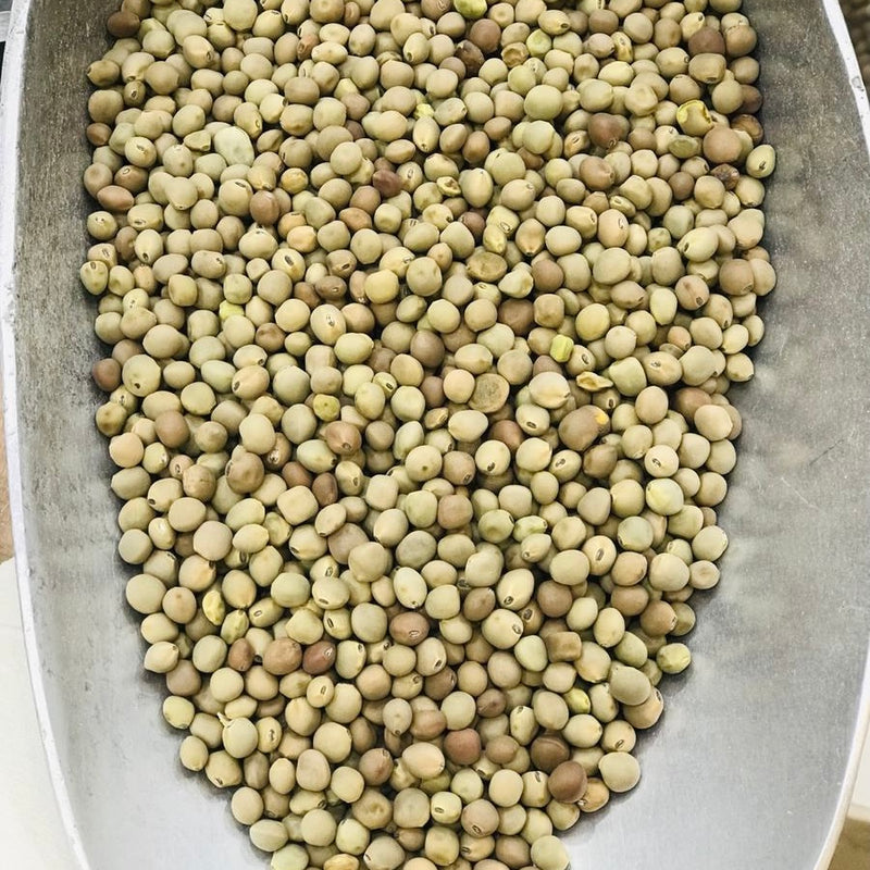 عتر يمني بلدي غير محمص (اخضر)