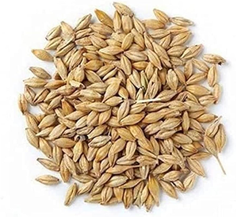 شعير حبوب 100 g barely whole